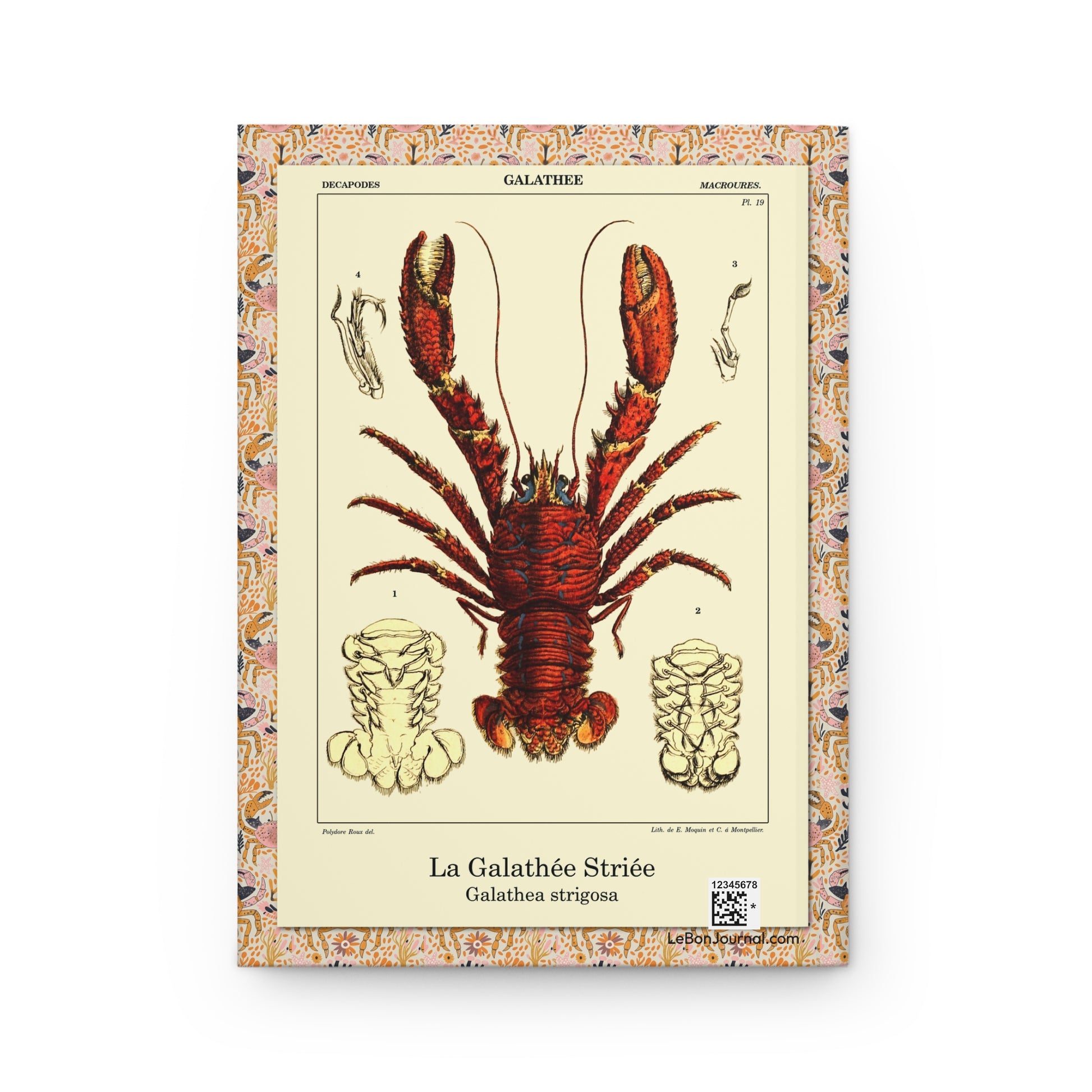 Crustacean journal back cover with Polydore Roux Galathea Strigosa lobster Plate 19 - LeBonJournal