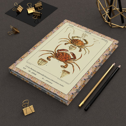 Polydore Roux crustacean journal on desk with gold clips for marine biology notes - LeBonJournal