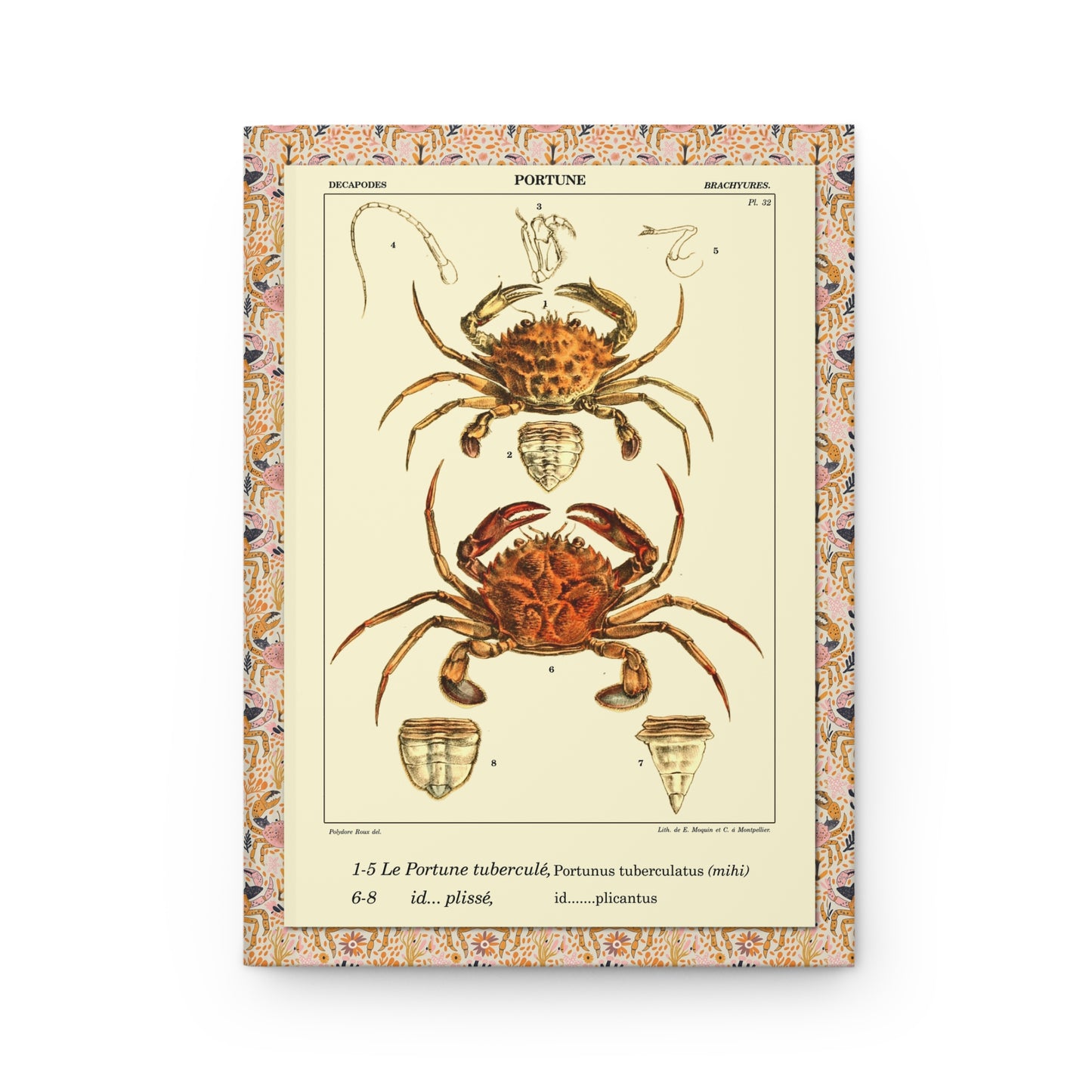 Crustacean journal front cover with Polydore Roux Portunus Tuberculatos crab Plate 32 - LeBonJournal