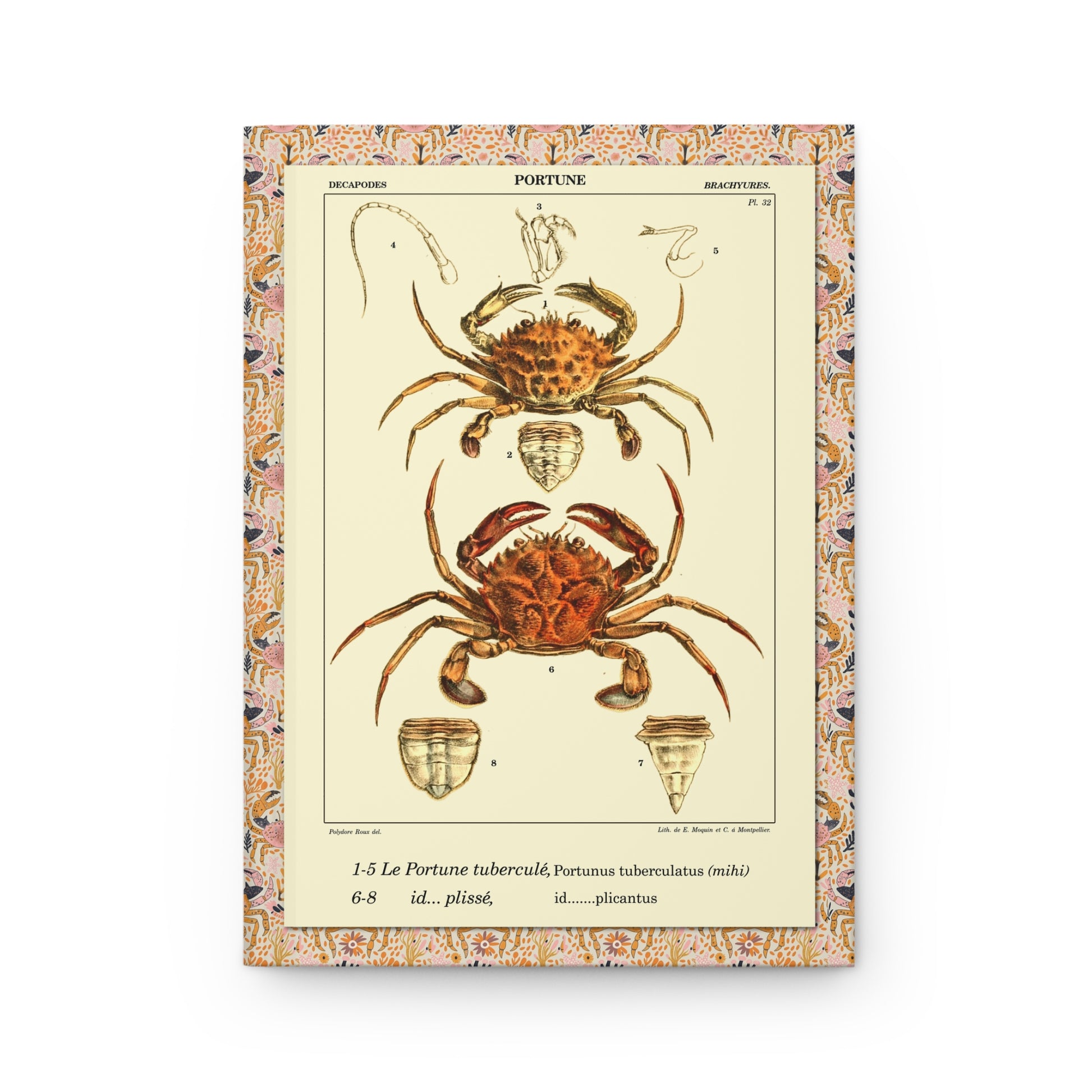 Crustacean journal front cover with Polydore Roux Portunus Tuberculatos crab Plate 32 - LeBonJournal