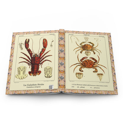 Polydore Roux crustacean journal open showing casewrap binding and 1828 Mediterranean illustrations - LeBonJournal