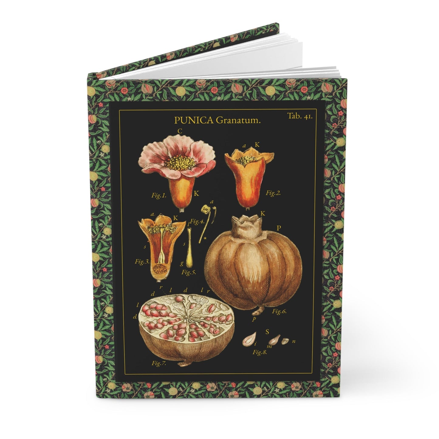 Pomegranate botanical hardcover journal featuring John Miller 1779 hand-colored copperplate engraving Punica granatum anatomy contemporary black background
 - LeBonJournal