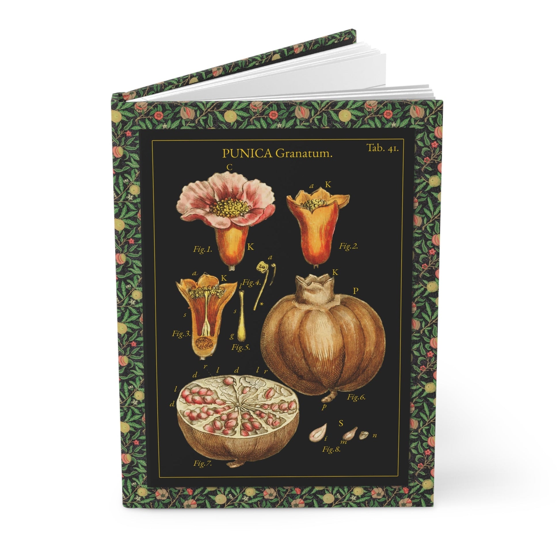 Pomegranate botanical hardcover journal featuring John Miller 1779 hand-colored copperplate engraving Punica granatum anatomy contemporary black background
 - LeBonJournal