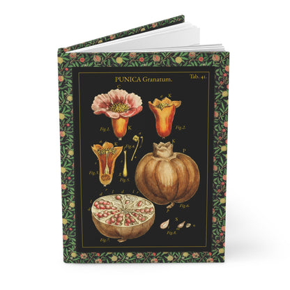 Pomegranate botanical hardcover journal featuring John Miller 1779 hand-colored copperplate engraving Punica granatum anatomy contemporary black background
 - LeBonJournal