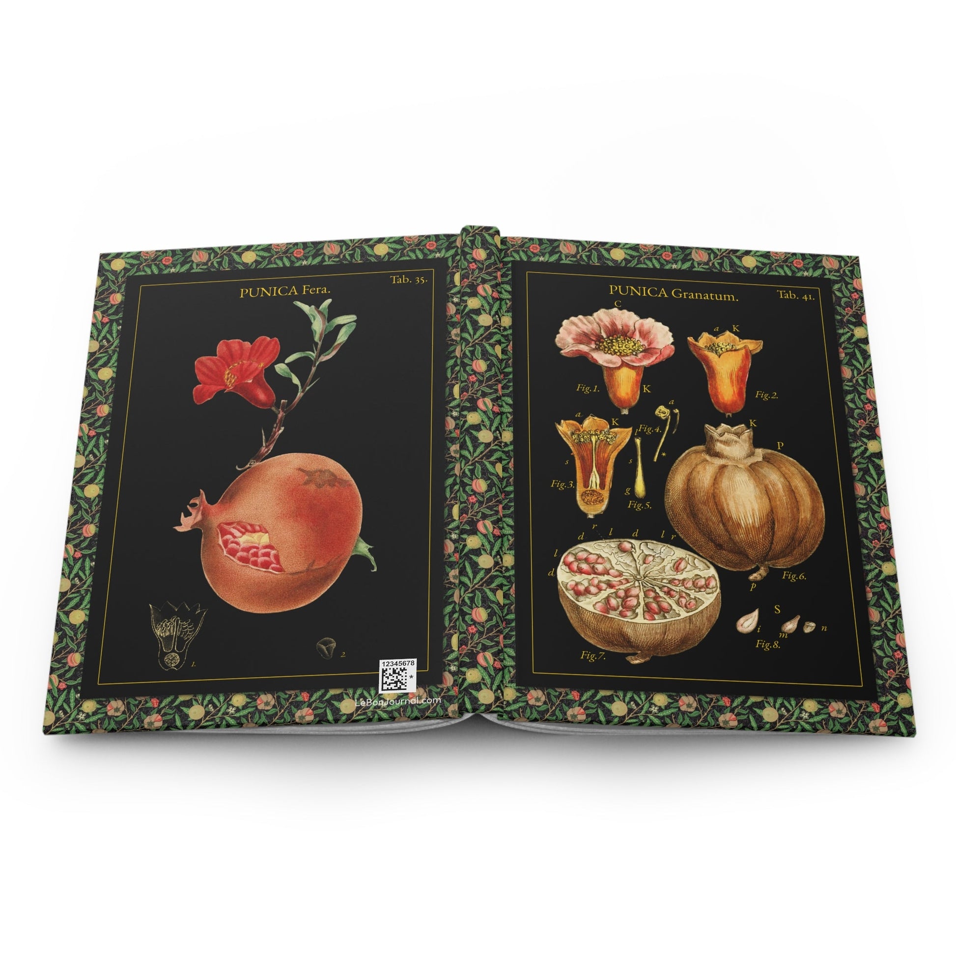 Pomegranate botanical journal open flat showing casewrap binding spine with John Miller 1779 Bertuch hand-colored engravings front and back covers - LeBonJournal