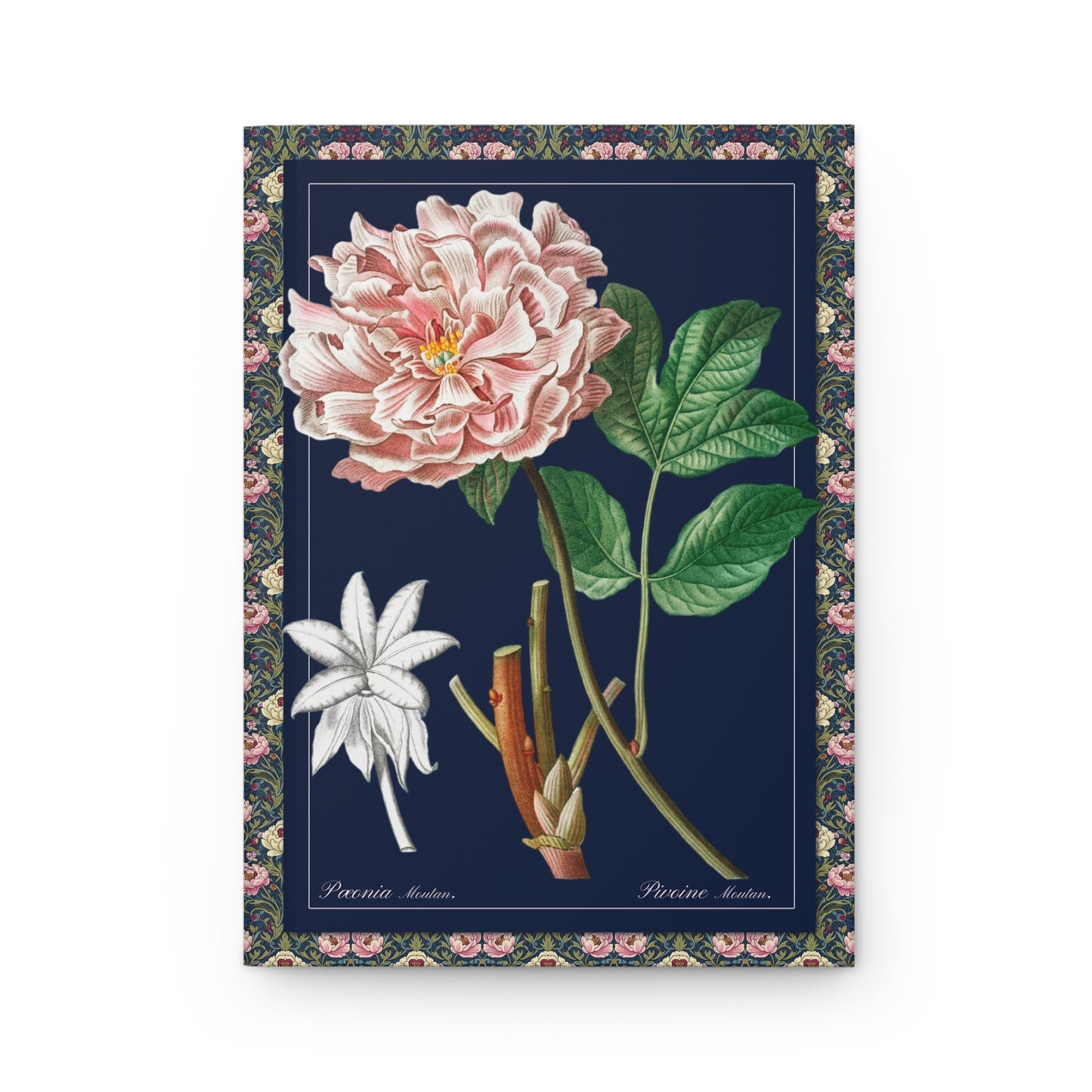 Front cover close-up Redouté Moutan peony Paeonia moutan botanical engraving scientific diagrams contemporary dark blue background Treatise Trees Shrubs France - LeBonJournal