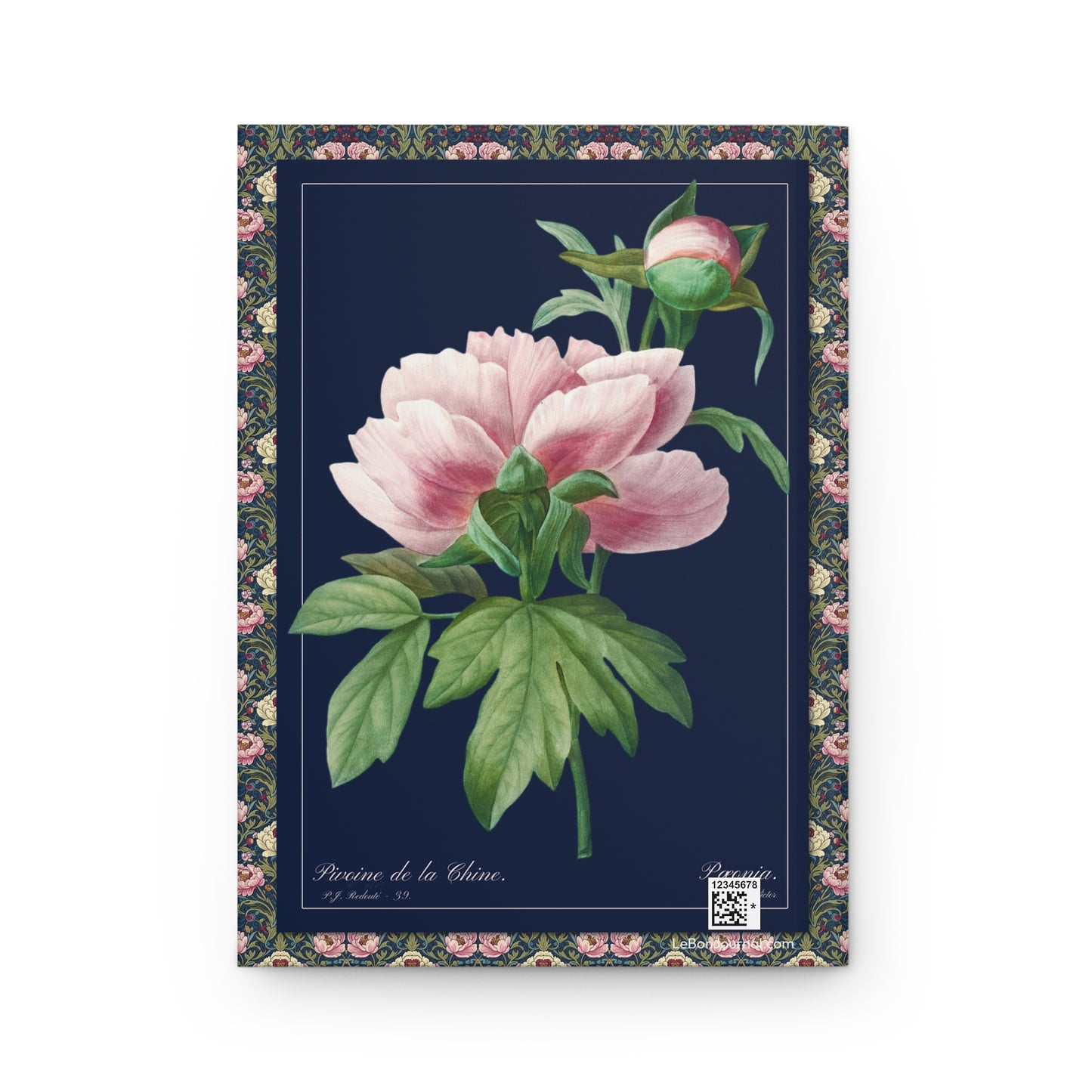 Back cover Redouté Pivoine de la Chine Chinese peony Choix des plus belles fleurs 1827 Plate 071 contemporary dark blue background - LeBonJournal