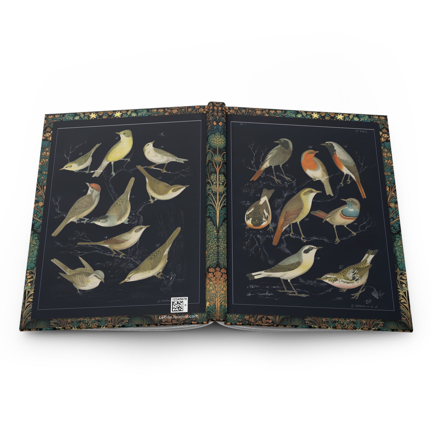 European songbirds journal open flat showing casewrap binding spine with 1886 De Vogelwereld robin bluethroat warblers black background front and back covers - LeBonJournal