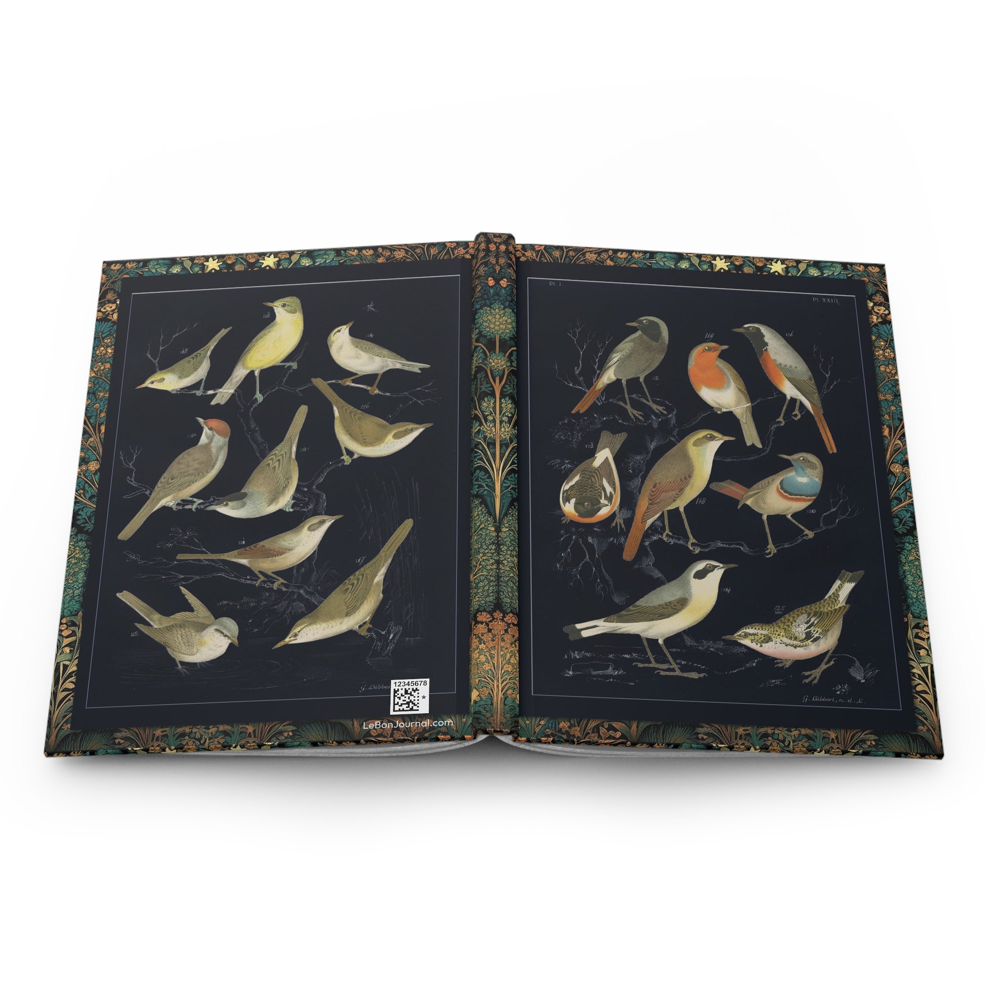 European songbirds journal open flat showing casewrap binding spine with 1886 De Vogelwereld robin bluethroat warblers black background front and back covers - LeBonJournal
