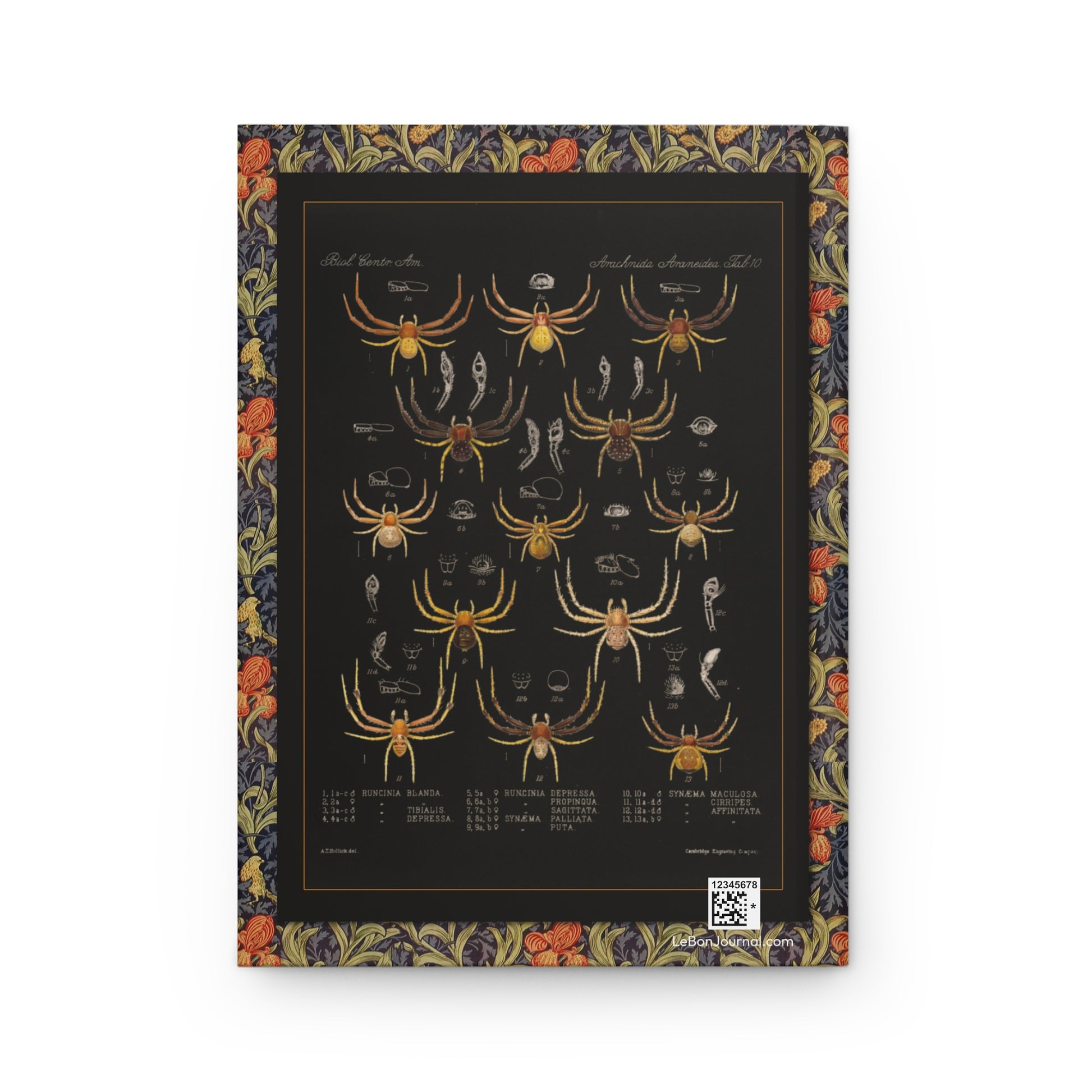Spider journal back cover with Godman Arachnida Araneidea Plate 10 specimen art - LeBonJournal