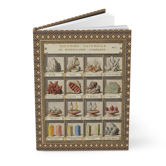 Hardcover journal standing upright showing Swebach-Desfontaines 1789 mineralogy plate with gemstones and crystals on front cover - LeBonJournal