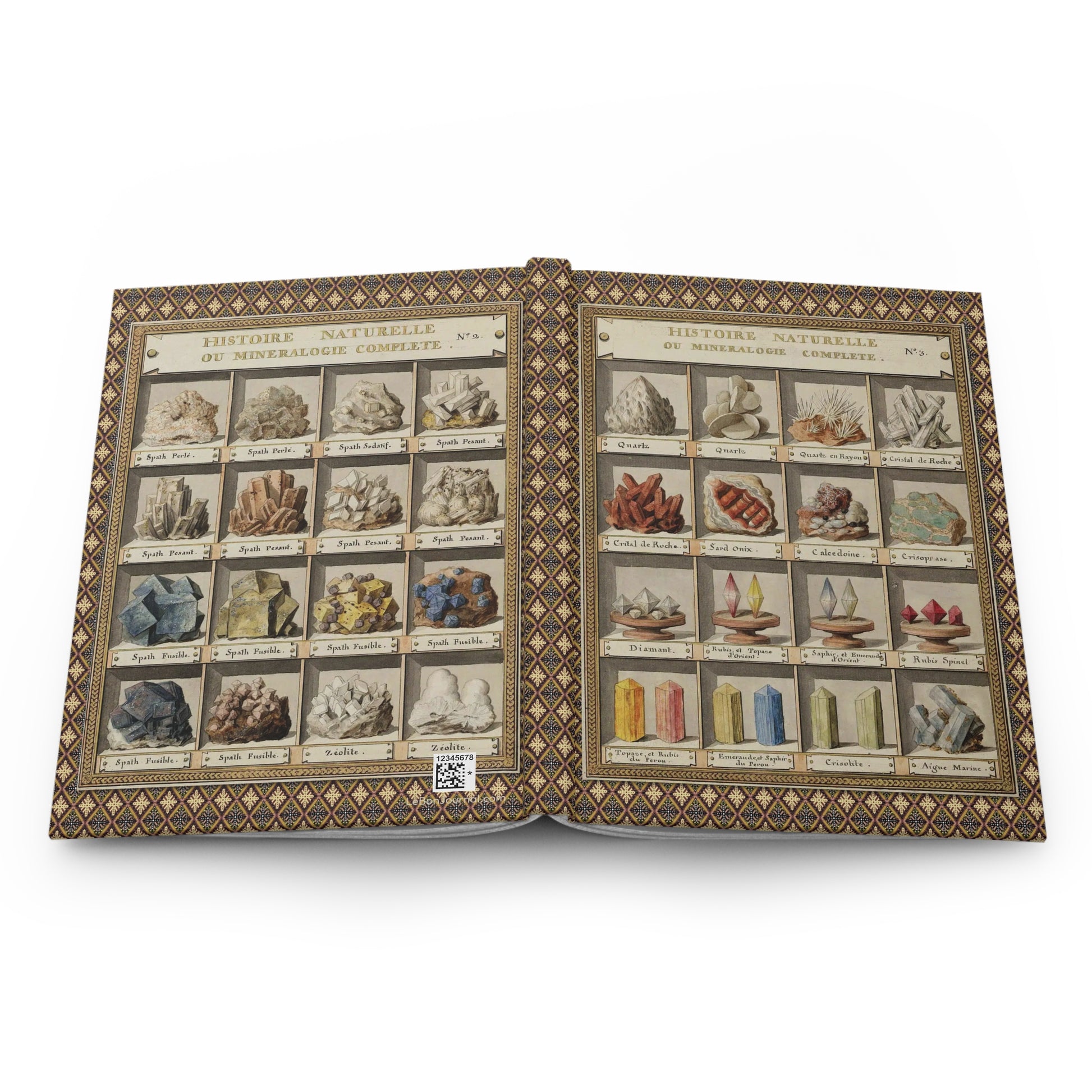 Hardcover journal opened flat showing spine binding and both covers with Swebach 1789 cabinet-of-curiosities mineralogy plates - LeBonJournal