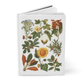 El Tesoro de la Juventud edible plants journal with botanical encyclopedia illustrations - LeBonJournal