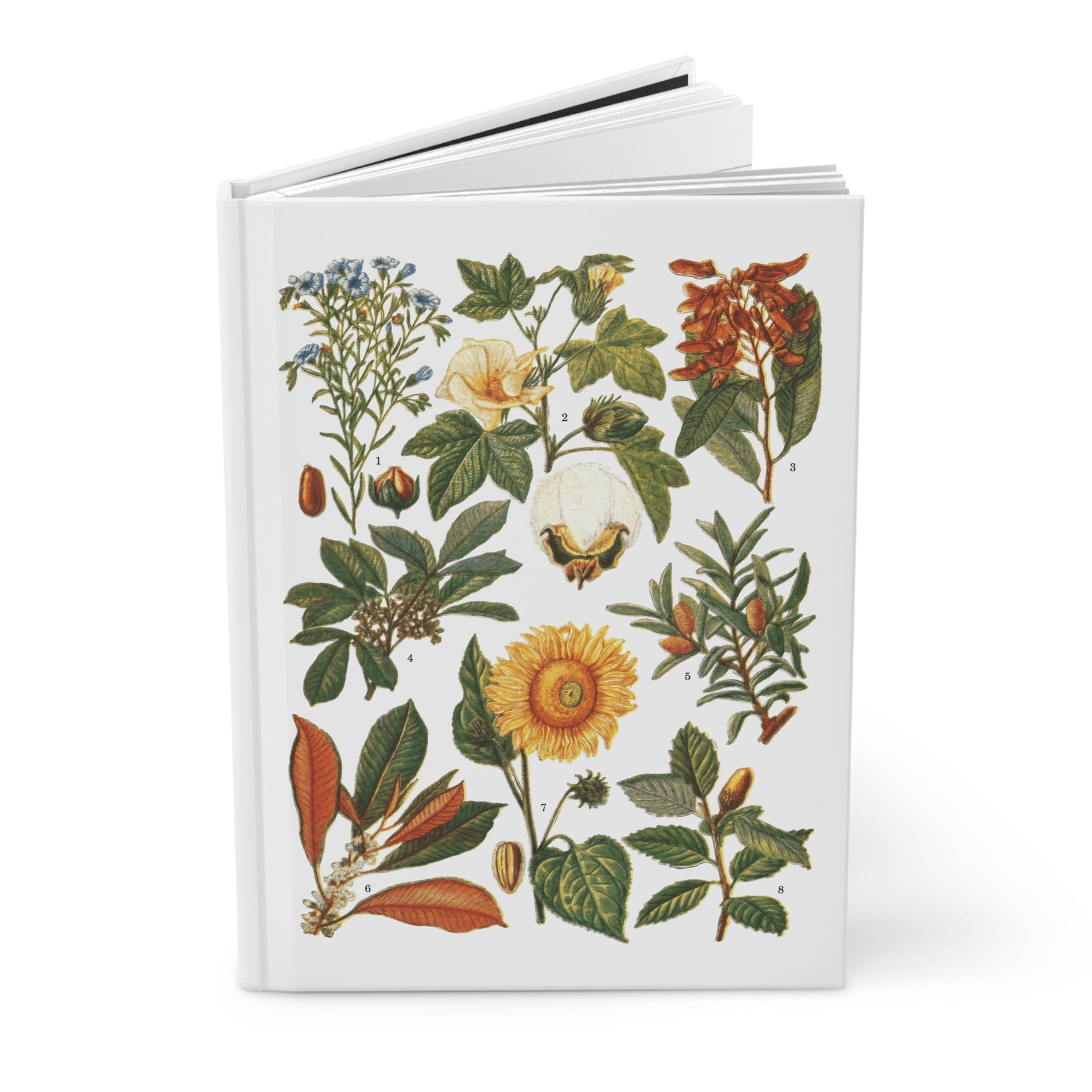 El Tesoro de la Juventud edible plants journal with botanical encyclopedia illustrations - LeBonJournal