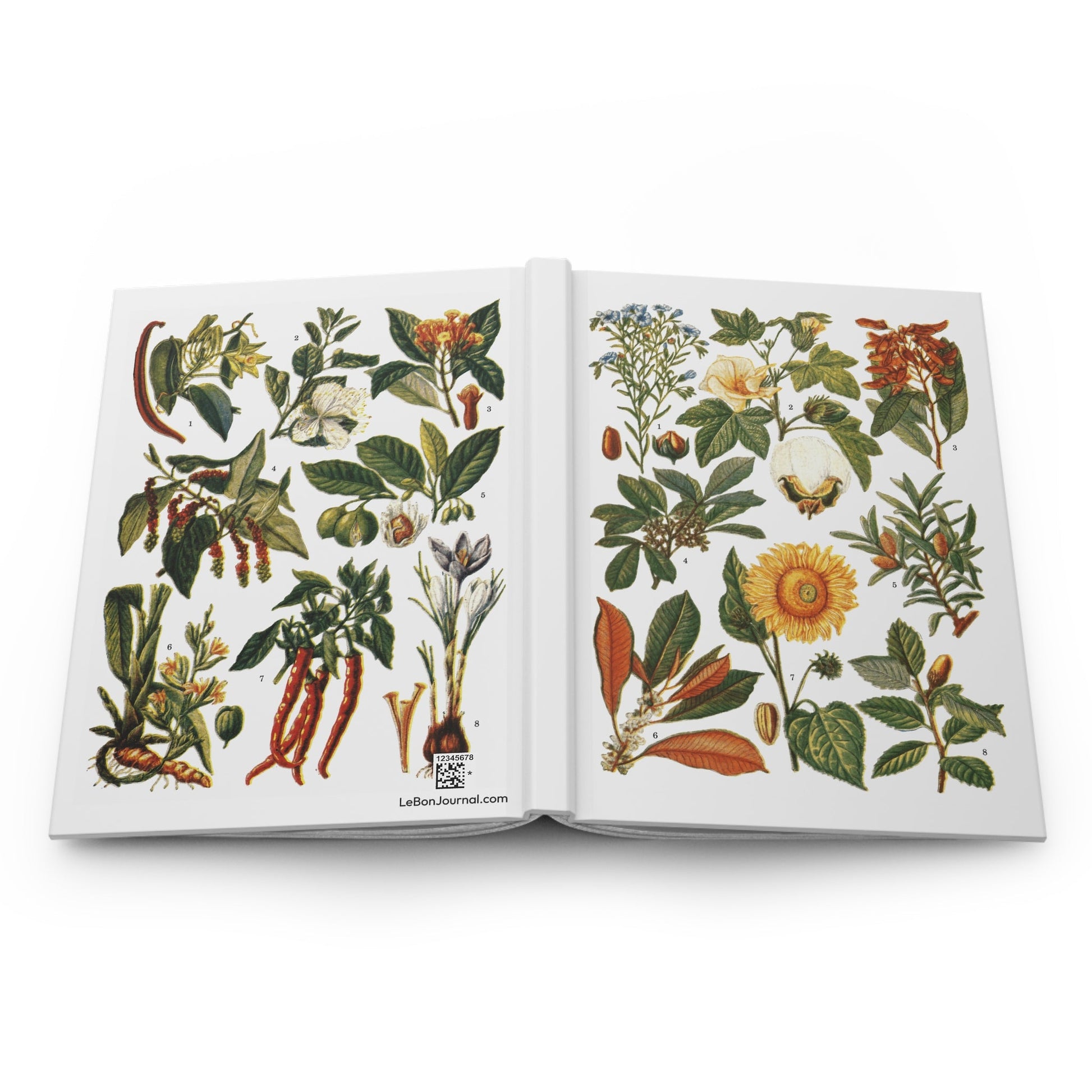 El Tesoro de la Juventud journal open showing casewrap binding and botanical plates - LeBonJournal