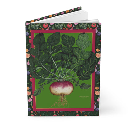 Ulisse Aldrovandi turnips and radish journal with Renaissance botanical illustrations from Piante Fiori Frutti - LeBonJournal