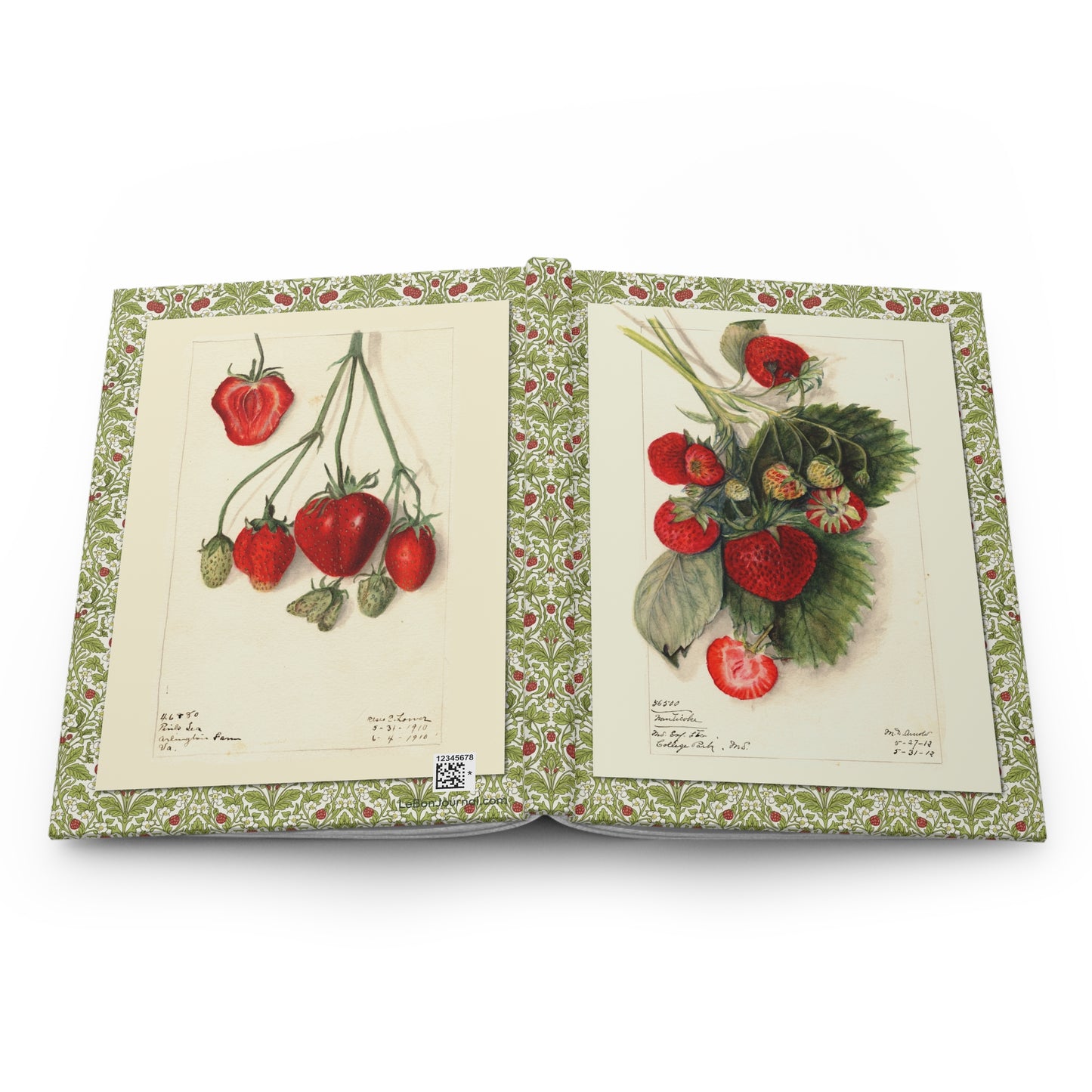 USDA strawberry journal open showing casewrap binding with Arnold and Lower illustrations - LeBonJournal
