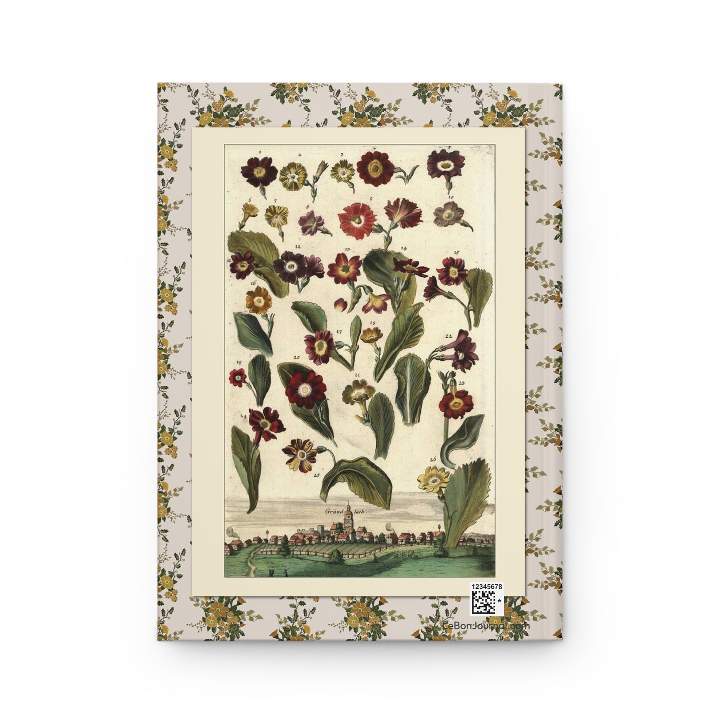 Medicinal flowers journal back cover with Volkamer Hesperides botanical engraving 1708-1714 - LeBonJournal