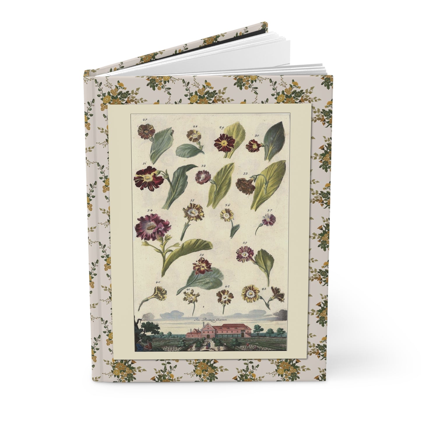 Johann Christoph Volkamer medicinal flowers journal with Nürnbergische Hesperides plates 1708-1714 - LeBonJournal