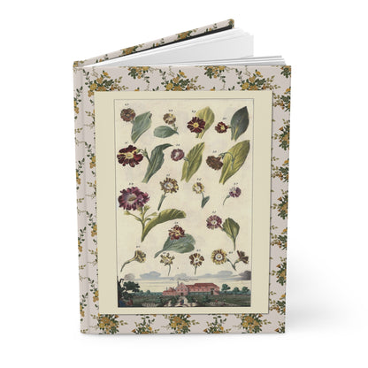 Johann Christoph Volkamer medicinal flowers journal with Nürnbergische Hesperides plates 1708-1714 - LeBonJournal