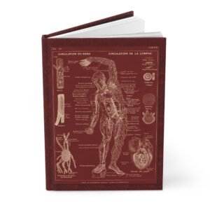 Front view of the standing slightly open Anatomy hardcover lined journal featuring a 1912 French medical anatomical chart of human blood and lymph circulation on a deep red patterned background.
