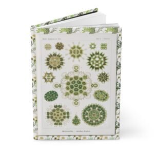 Front view of the standing slightly open Algae hardcover journal showing lined pages and Ernst Haeckel's 1904 Pediastrum illustration from Kunstformen der Natur with a green Caulerpa pattern frame.