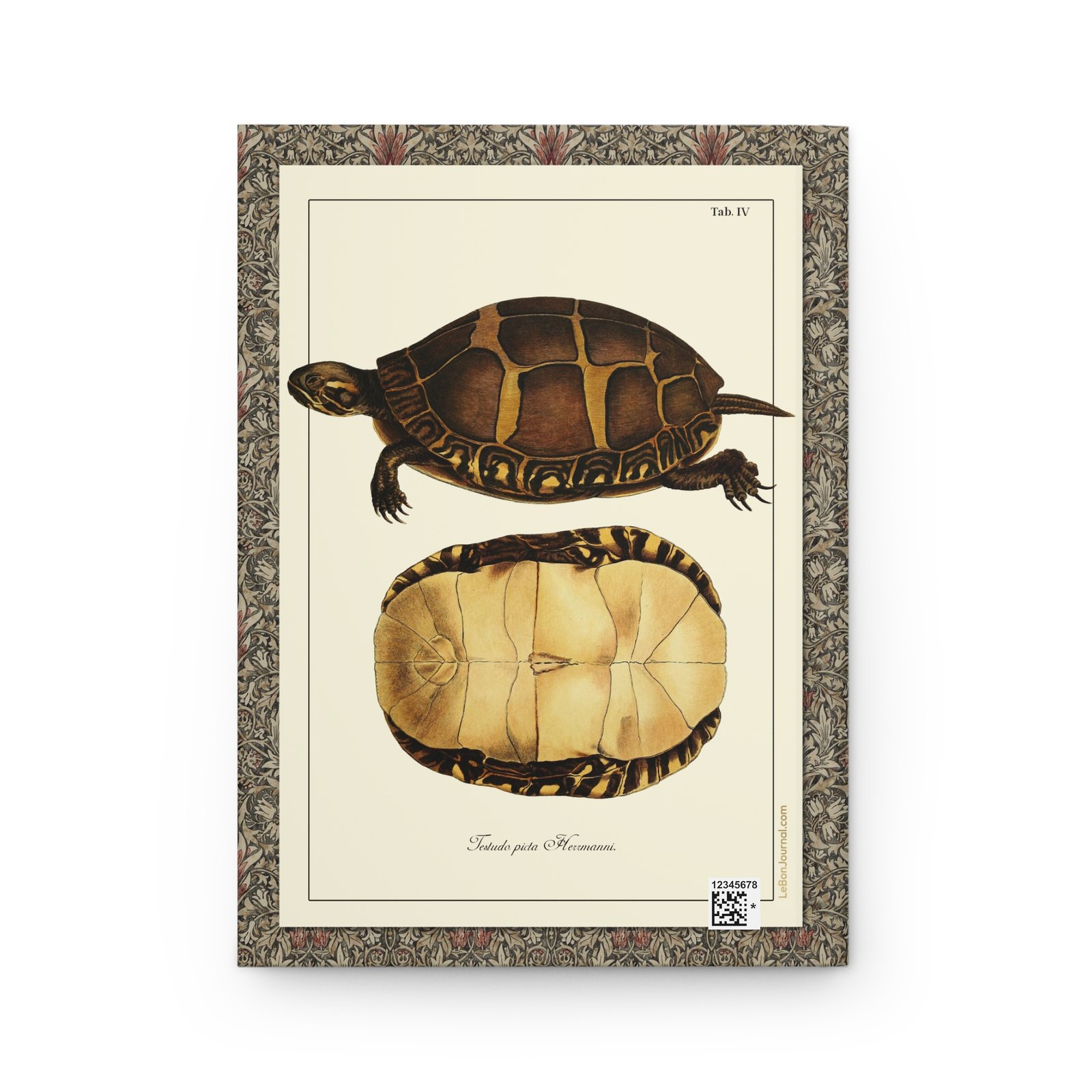 Turtle Anatomy Hardcover Journal Back Cover - Schöpf 1792 Back cover of the Turtle Anatomy hardcover journal featuring archival bookcloth and subtle historical publisher detail complementing the 18th-century natural history theme