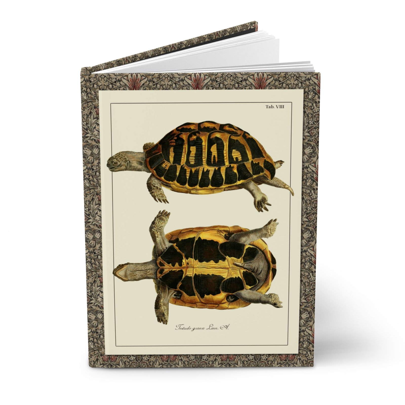 Turtle Anatomy Hardcover Journal Blank Pages - Schöpf 1792 Turtle Anatomy hardcover journal with blank unlined pages featuring Schöpf 1792 historical turtle engraving cover standing vertically slightly open