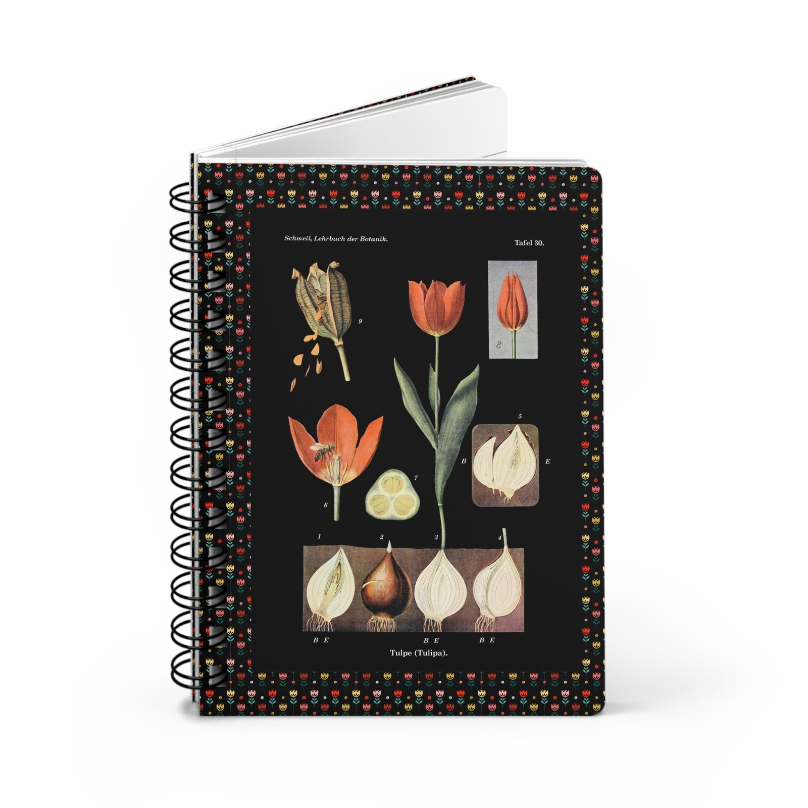 Tulip Spiral Bound Botanical Notebook Spiral-bound version of the vintage tulip botanical notebook featuring durable wire binding.