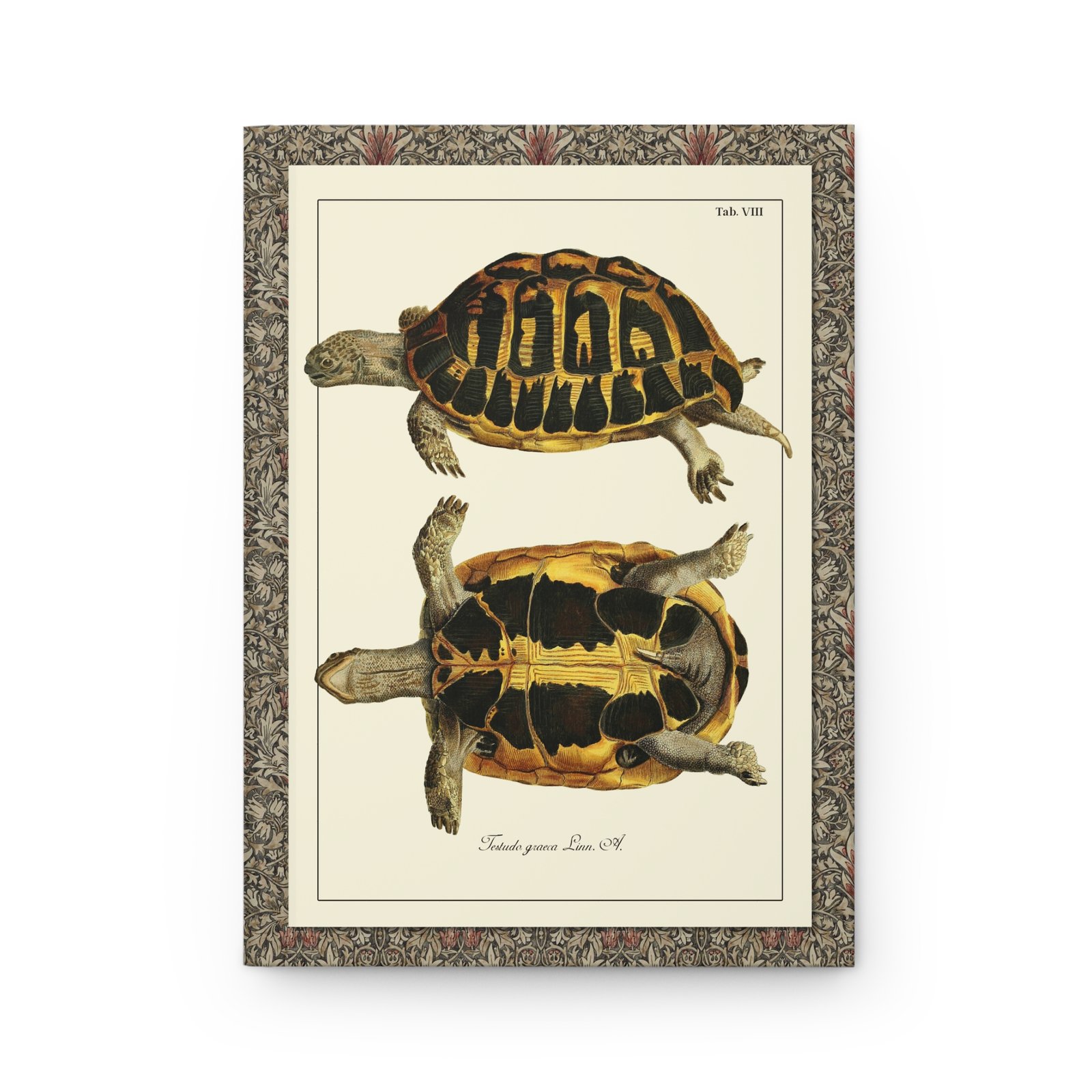 Turtle Anatomy Hardcover Journal Front Cover - Schöpf 1792 Front cover of the Turtle Anatomy hardcover journal featuring historical 1792 botanical and zoological engraving of a turtle carapace from Johann David Schöpf’s Naturgeschichte der Schildkröten