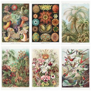 ernst haeckel art forms in nature collection mosaic